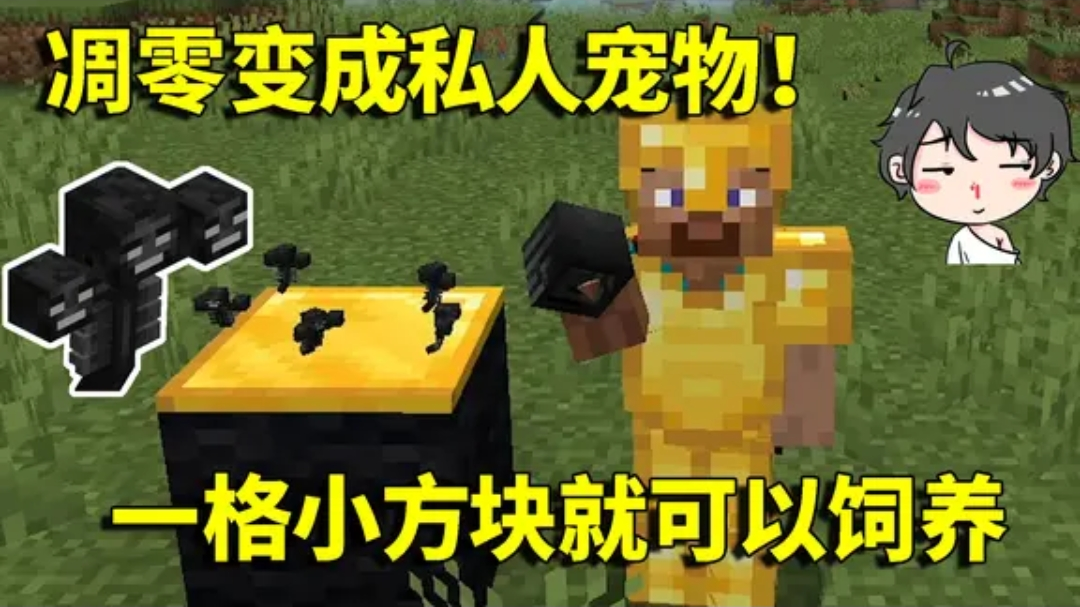 我的世界Mod:凋零成为阿阳的私人宠物!一格小方块就可以饲养?